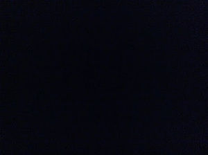 Meet your Posher, Samia